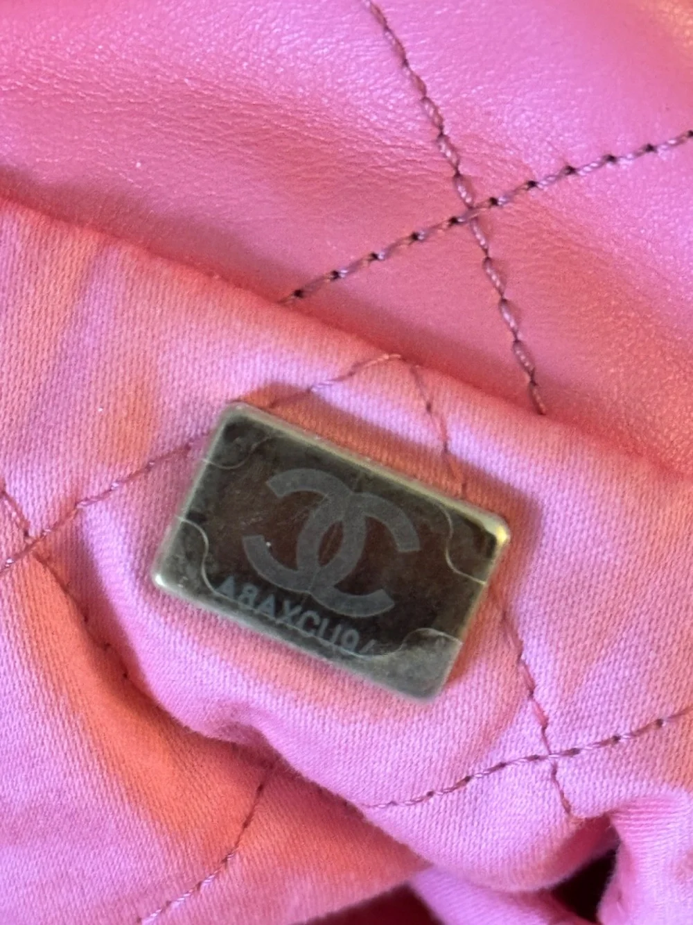 CHANEL 22 Hobo Bag Pink